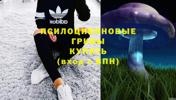 mix Белокуриха