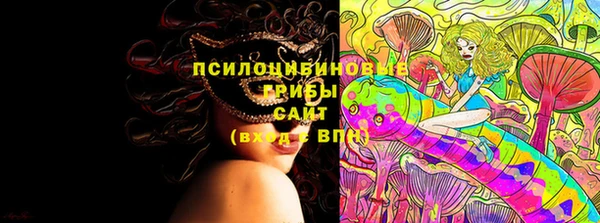 mix Белокуриха