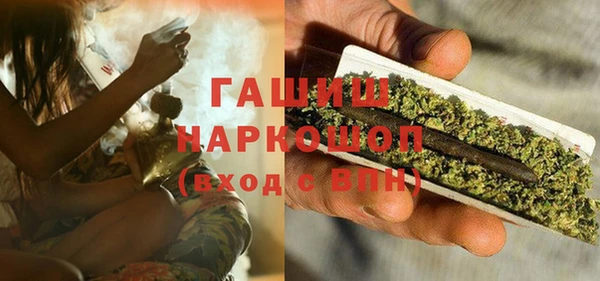 spice Бородино