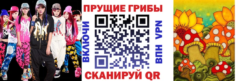 закладка  Белогорск  Галлюциногенные грибы Psilocybine cubensis 